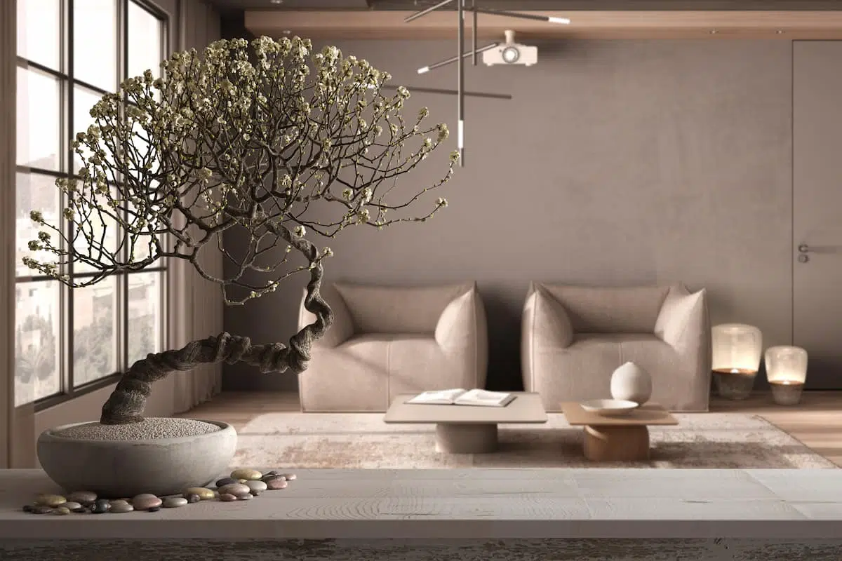 decoracion feng shui