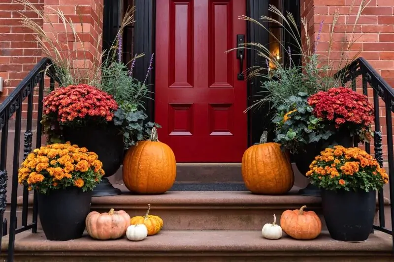 plantas halloween en puerta de entrada