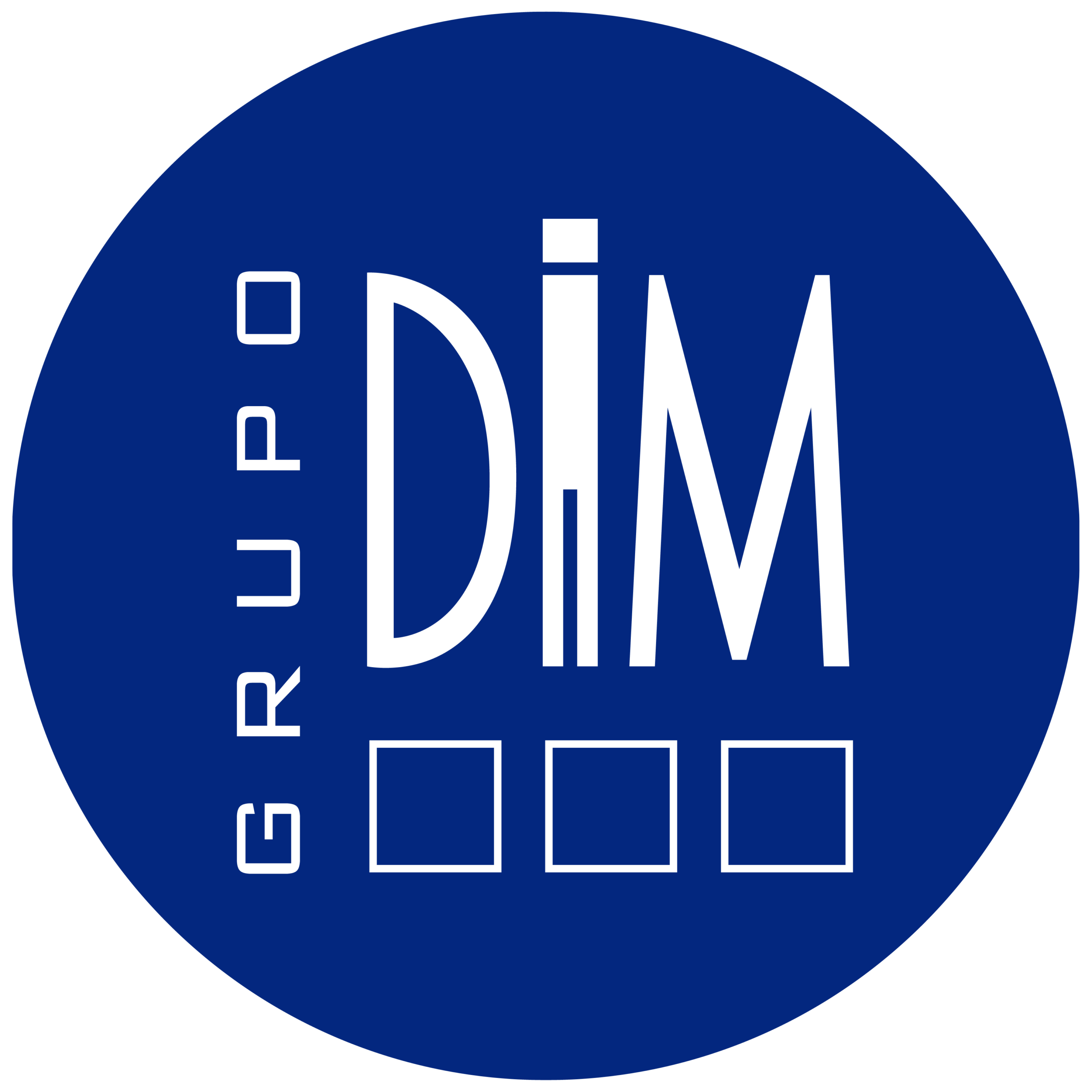 GRUPO DIM